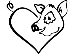 Broome Animal Sanctuary logo